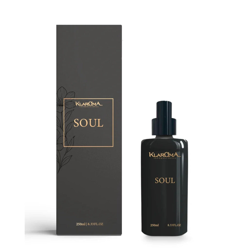 Brazilian Soul Reed Diffuser Spray 8.45floz